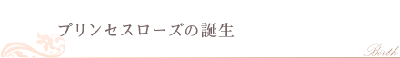 プリンセスローズの誕生